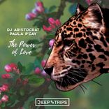 Artwork voor "The Power of Love"