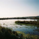 Artwork for "Fading Memories"