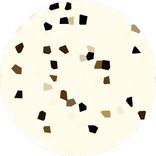 Artwork for "Long Leg Bird"