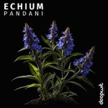 Portada para "Echium"