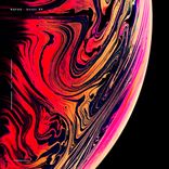 Portada para "Wandi"