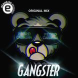 Portada para "Gangster"