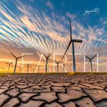 Artwork for "The Earth"