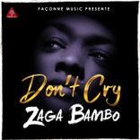 Artwork for "Don't Cry"