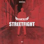 Artwork voor "Streetfight"
