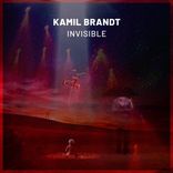 Portada para "Invisible"