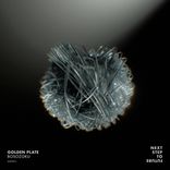 Artwork for "Bosozoku"