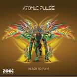 Artwork voor "Ready to Fly II"