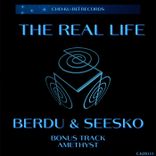 Artwork voor "The Real Life"