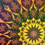 Portada para "Magic Bug"