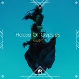 Artwork for "House of Gypsies"