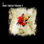 Portada para "Shabe Hashtom Moharam 94"