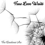 Artwork for "True Love Waits"