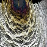 Artwork for "Mothra"