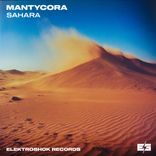 Artwork for "Sahara"