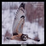 Artwork für "Momentum (Yöurr Remix)"