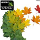 Portada para "Remember"