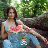 Artwork voor "Waiting Traffic"