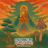 Artwork for "Experience"