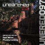 Artwork voor "Pluckyrocking"