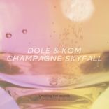 Artwork voor "Champagne Skyfall"