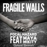 Artwork for "Fragile Walls"