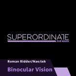 Portada para "Binocular Vision"