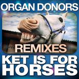 Ket Is for Horses
