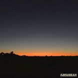 Artwork für "Savannah"