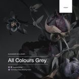 Portada para "All Colours Grey"