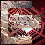 Artwork for "Windy Swells"