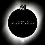 Artwork voor "Black Moon"