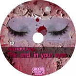 Artwork for "The End In Your Eyes"