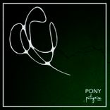 Pony
