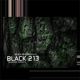 Artwork for "Black 213"