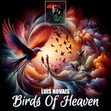 Artwork for "Birds of Heaven"