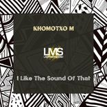 Artwork voor "I Like The Sound Of That"