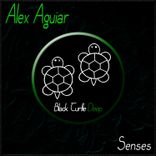 Artwork for "Senses"