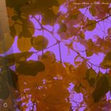 Abstract Frequencies