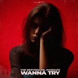 Artwork for "Wanna Try"