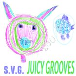 Artwork for "Juicy Grooves"