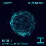 Imprinted in the Moment