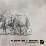 Artwork for "Elephant EP"