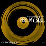 Artwork for "Feel My Soul"