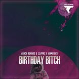 Artwork voor "Birthday Bitch"