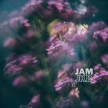 Artwork for "The Secret Garden"