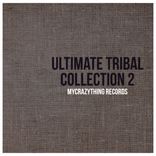 Artwork voor "Ultimate Tribal Collection 2"
