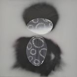 Portada para "Tears While Sleeping"