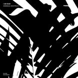 Portada para "Dimebag Destruct"