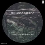 Artwork for "Después De La Naturaleza"